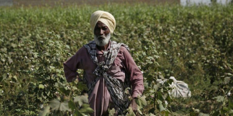 Punjab minister: Farmers have rapid, simple access to high-quality seeds