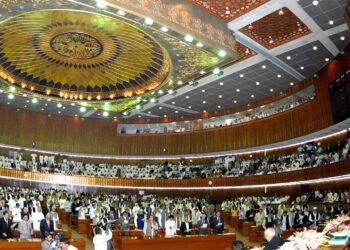 Locations for CPEC industrial zones being identified; National Assembly body told