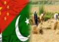پاکستانی زرعی گریجویٹس نے چین میں زرعی تربیتی پروگرام مکمل کر لیا
