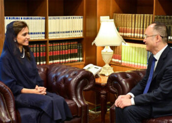 Chinese Ambassador to Pakistan Nong Rong Meets with Pakistani Minister of State for Foreign Affairs Hina Rabbani Khar