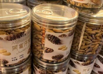 Afghan pine nuts and dried apricot got wholesale orders on CIIE