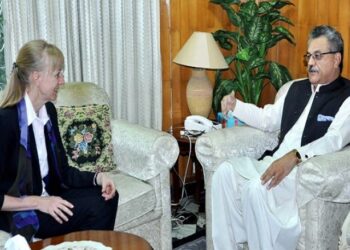 ‘CPEC to make Pakistan attractive business destination