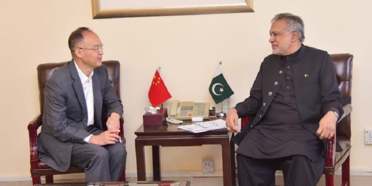 The Finance Minister and the Chinese Envoy discuss the CPEC and bilateral relations
