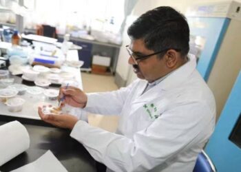 چین: درختوں کی بیماریوں کی تشخیص کرنیوالے پاکستانی پروفیسر کے چرچے