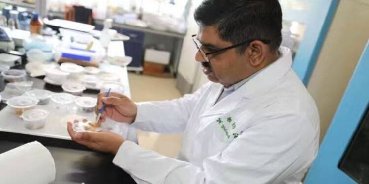 چین: درختوں کی بیماریوں کی تشخیص کرنیوالے پاکستانی پروفیسر کے چرچے