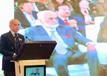 چین سے تربیت یافتہ زرعی گریجویٹس ملکی تقدیر بدل سکتے ہیں: وزیراعظم