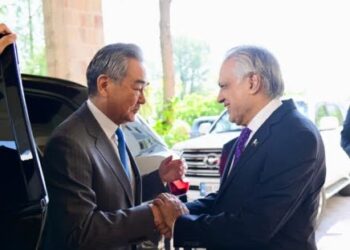 وانگ ای کی پاکستان کے نائب وزیر اعظم اور وزیر خارجہ سے ٹیلی فون پر بات چیت