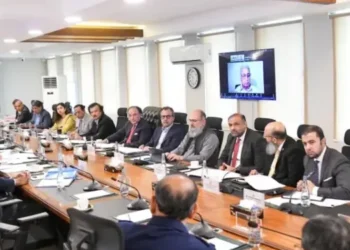 چین کو گدھے کے گوشت اور کھال کی برآمد کی منظوری، ای سی سی کا اہم فیصلہ